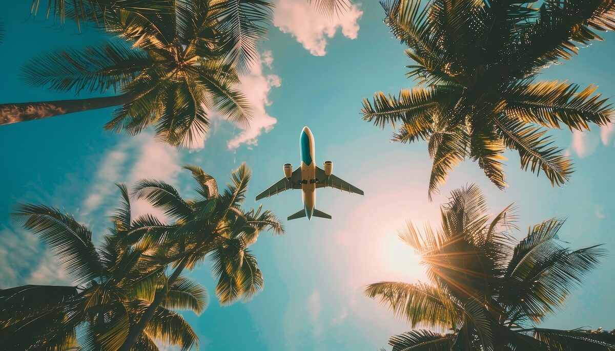 Airplane Flying Over Palm Trees At Sunset Airplane Flying Over Palm Trees At Sunset