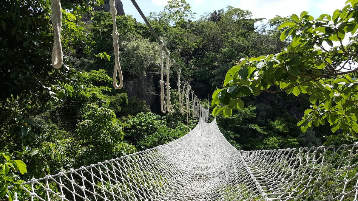 Safety Net Safety Net