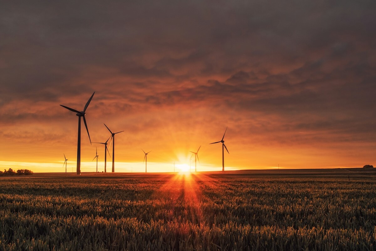 Wind Turbines in a Wheat Field at Sunset Wind Turbines in a Wheat Field at Sunset